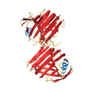 Room temperature structure of GH11 from Thermoanaerobacterium saccharolyticum by serial crystallography