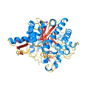 Crystal structure of beta-glucosidase from Thermoanaerobacterium saccharolyticum