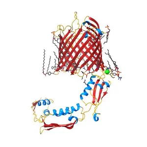 Crystal structure of TamA from E. coli