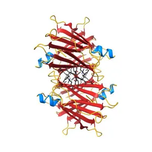 The Structure of V122I Mutant Transthyretin in Complex with AG10