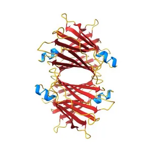 X-ray structure of perdeuterated TTR mutant - T119M at 1.22A