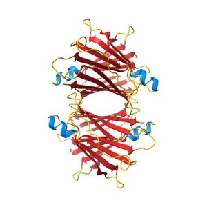 CRYSTAL STRUCTURE OF HUMAN TRANSTHYRETIN AT 1.5A RESOLUTION
