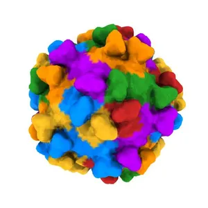 Enterovirus D68 in complex with human monoclonal antibody EV68-228