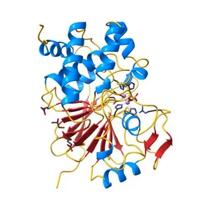 Crystal Structure of Protein Phosphate 1 complexed with PP1 binding domain of GADD34