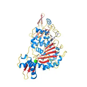 PENICILLIN-BINDING PROTEIN 1B (PBP-1B) in complex with lactone 7Az - Streptococcus pneumoniae R6
