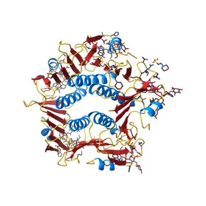 CHOLERA TOXIN B-PENTAMER COMPLEXED WITH GM1 PENTASACCHARIDE
