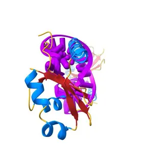 Crystal structure of C-terminal xRRM domain of human Larp7 bound to 7SK stem-loop 4 RNA