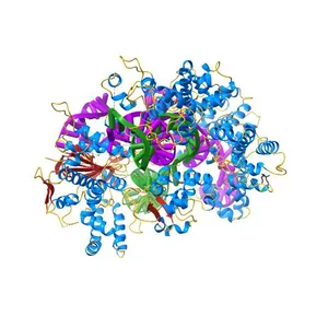 Crystal structure of Cas9 bound to PAM-containing DNA target with mismatches at positions 1-2