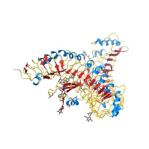 Plant steroid receptor BRI1 ectodomain in complex with brassinolide