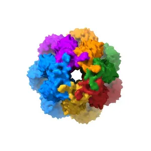 Structure of homomeric LRRC8C Volume-Regulated Anion Channel