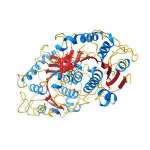 Structure of chlorophyllase from Triticum aestivum