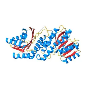 Crystal structure of TsaC