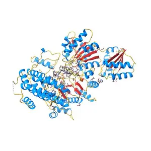 Structure of Cobalamin-dependent S-adenosylmethionine radical enzyme OxsB with aqua-cobalamin and S-adenosylmethionine bound