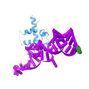 STRUCTURAL AND ENERGETIC ANALYSIS OF RNA RECOGNITION BY A UNIVERSALLY CONSERVED PROTEIN FROM THE SIGNAL RECOGNITION PARTICLE