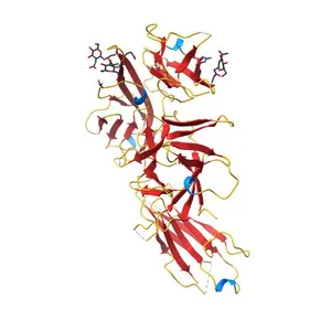 Cytokine/receptor binary complex