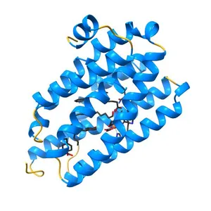 Crystal structures of aldehyde deformylating oxygenase from Oscillatoria sp. KNUA011