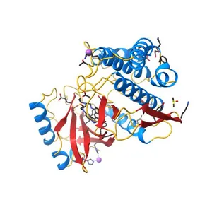Crystal structure of haspin (GSG2) in complex with macrocycle ODS2004093