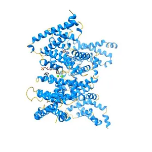 Structural Basis for Ca2+ Selectivity of a Voltage-gated Calcium Channel
