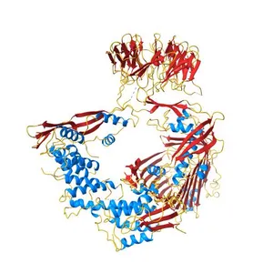 Structure of a membrane complex