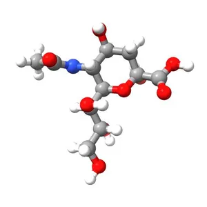 N-Acetyl-Neuraminic Acid
