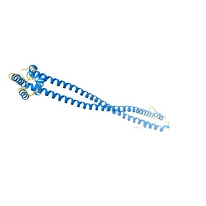 Crystal Structure of the coiled-coil surrounding Skip 1 of MYH7