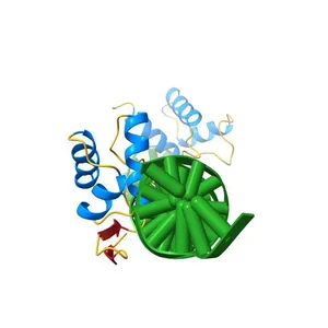 CRYSTAL STRUCTURE OF THE HUMAN PAX-6 PAIRED DOMAIN-DNA COMPLEX REVEALS A GENERAL MODEL FOR PAX PROTEIN-DNA INTERACTIONS
