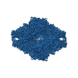 2.2 A resolution cryo-EM structure of beta-galactosidase in complex with a cell-permeant inhibitor