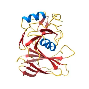 Crystal Structure of Monobody CS1/SHP2 C-SH2 Domain Complex