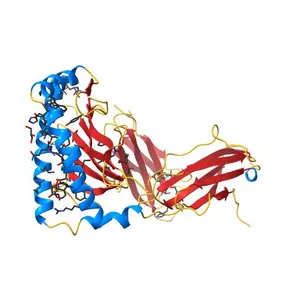 Crystal Structure of H2-Kb in complex with a OVA mutant peptide