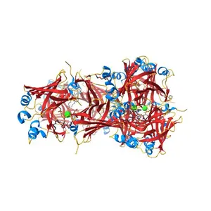 NanoLuc luciferase with bound furimamide in surface allosteric site