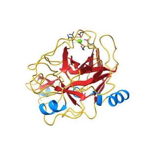 R117H mutant rat anionic trypsin complexed with bovine pancreatic trypsin inhibitor (BPTI)
