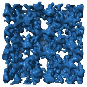 Cryo-electron microscopy of tubular arrays of HIV-1 Gag resolves structures essential for immature virus assembly.