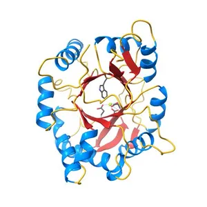 Crystal structure of the inactive state of the Smase I, a sphingomyelinase D from Loxosceles laeta venom