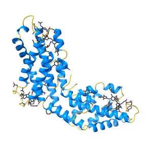 Crystal structure of c-phycocyanin of synechococcus vulcanus at 1.6 angstroms