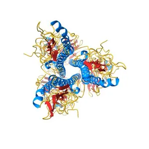 1934 Human H1 Hemagglutinin
