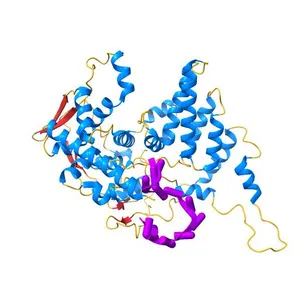 Model for influenza A virus helical ribonucleoprotein-like structure