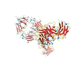CRYSTAL STRUCTURE OF THE INTACT HUMAN IGG B12 WITH BROAD AND POTENT ACTIVITY AGAINST PRIMARY HIV-1 ISOLATES: A TEMPLATE FOR HIV VACCINE DESIGN