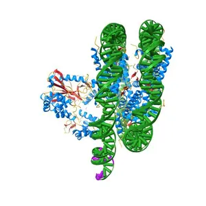 BAP1/ASXL1 bound to the H2AK119Ub Nucleosome