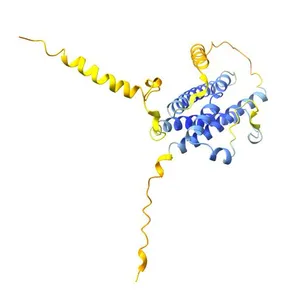 Interleukin-27 subunit alpha
