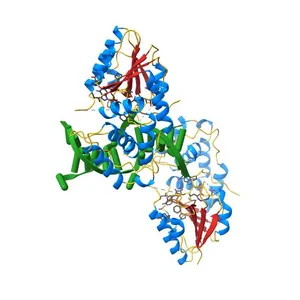 Structure of E. coli DNA adenine methyltransferase (DAM)