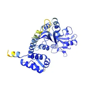 Uncharacterized HTH-type transcriptional regulator YdcI