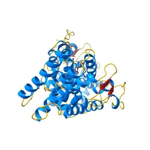 Crystal Structure Analysis of the Csn-B-bounded NUR77 Ligand binding Domain