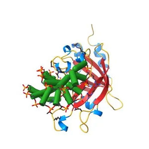 Crystal structure of restriction endonuclease EcoRII N-terminal effector-binding domain in complex with cognate DNA