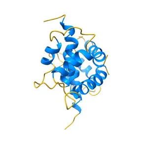 CALCIUM FORM OF HUMAN S100B, NMR, 20 STRUCTURES