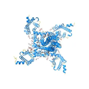 Crystal structure of the NavAb voltage-gated sodium channel in a closed conformation
