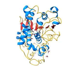 Crystal structure of CALB from Candida antarctica