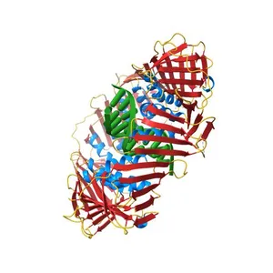 Structural basis of human clamp sliding on DNA