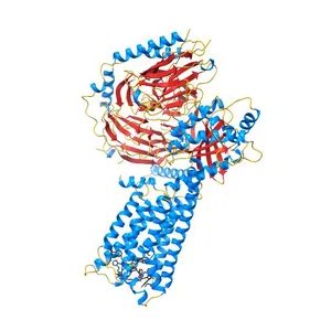 Cryo-EM structure of SHU9119-bound melanocortin-1 receptor in complex with Gs protein and Nb35
