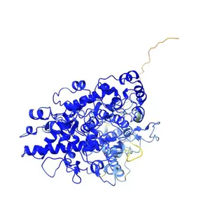 Eosinophil peroxidase