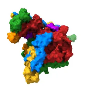 Cryo-EM structure of Streptomyces coelicolor transcription initiation complex with the global transcription factor AfsR